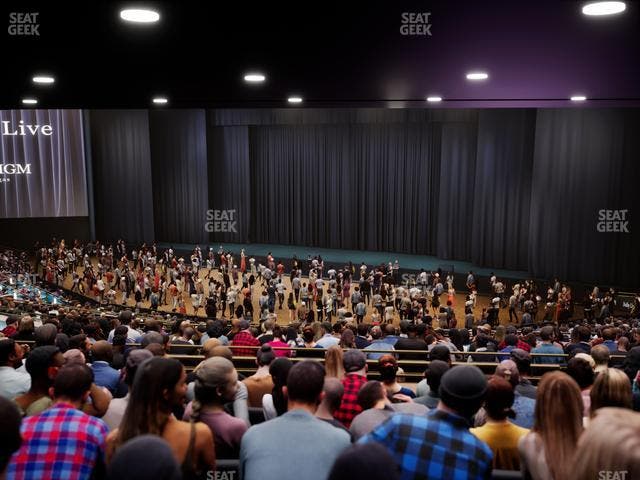 Dolby Live at Park MGM - Section 303 Seat View