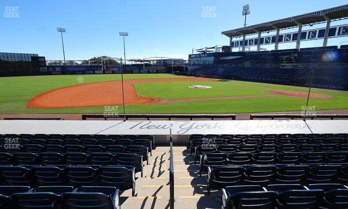 George M. Steinbrenner Field - Section 117 Seat View