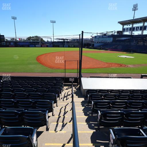 George M. Steinbrenner Field - Section 118 Seat View