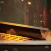Preview of Ka Theatre at MGM Grand Hotel - Section 101 Seat View