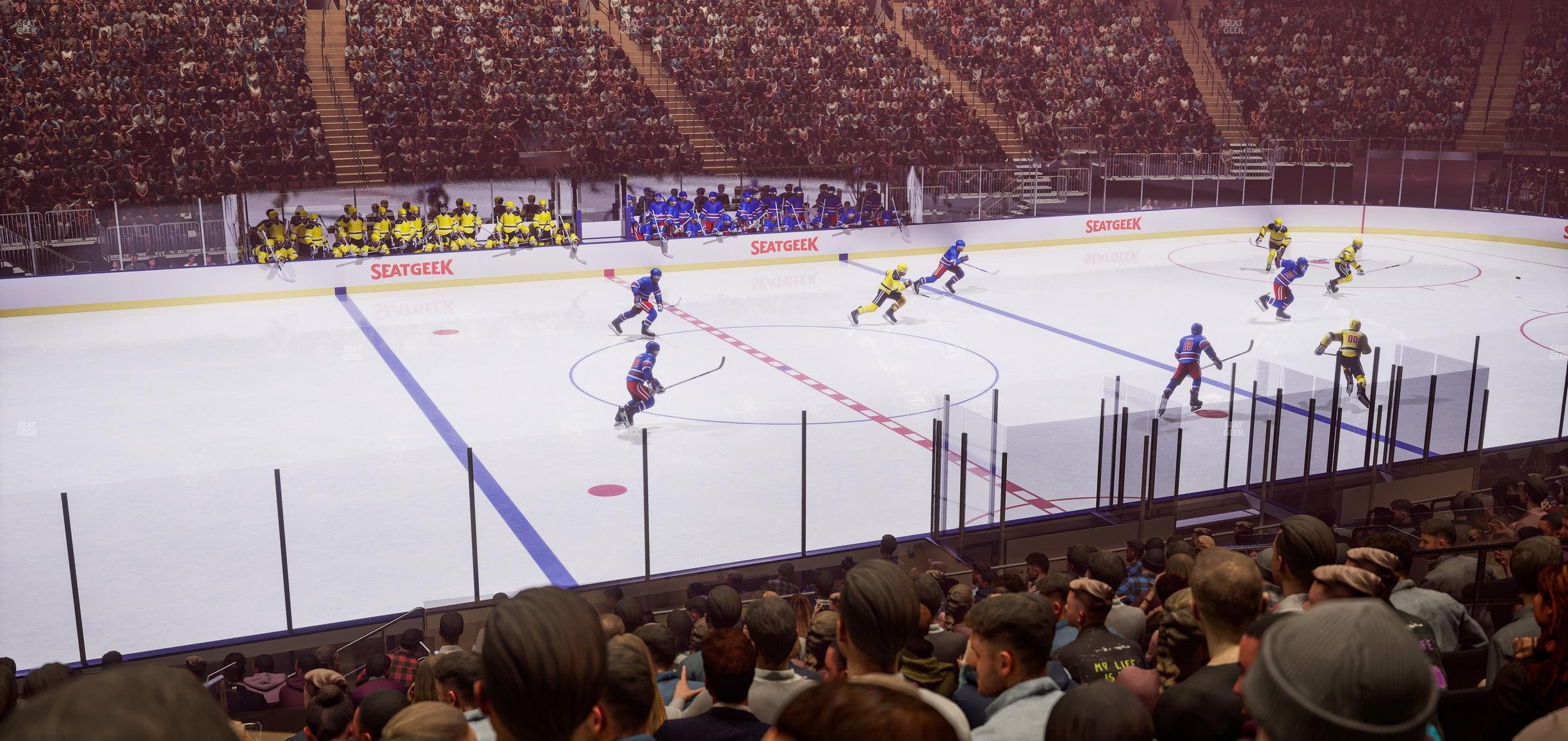 Madison Square Garden - Section 116 Seat View
