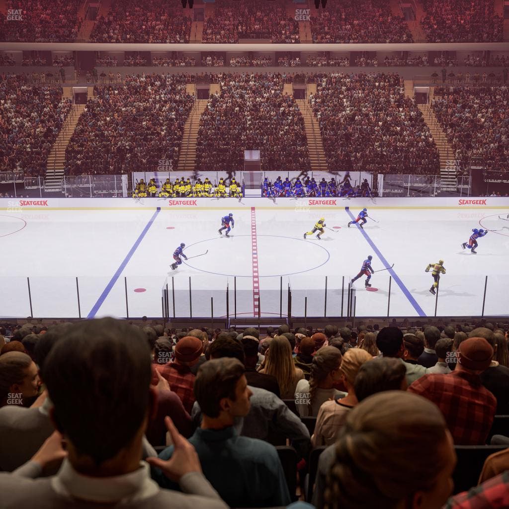 Madison Square Garden - Section 117 Seat View