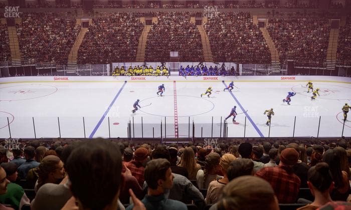 Madison Square Garden - Section 117 Seat View