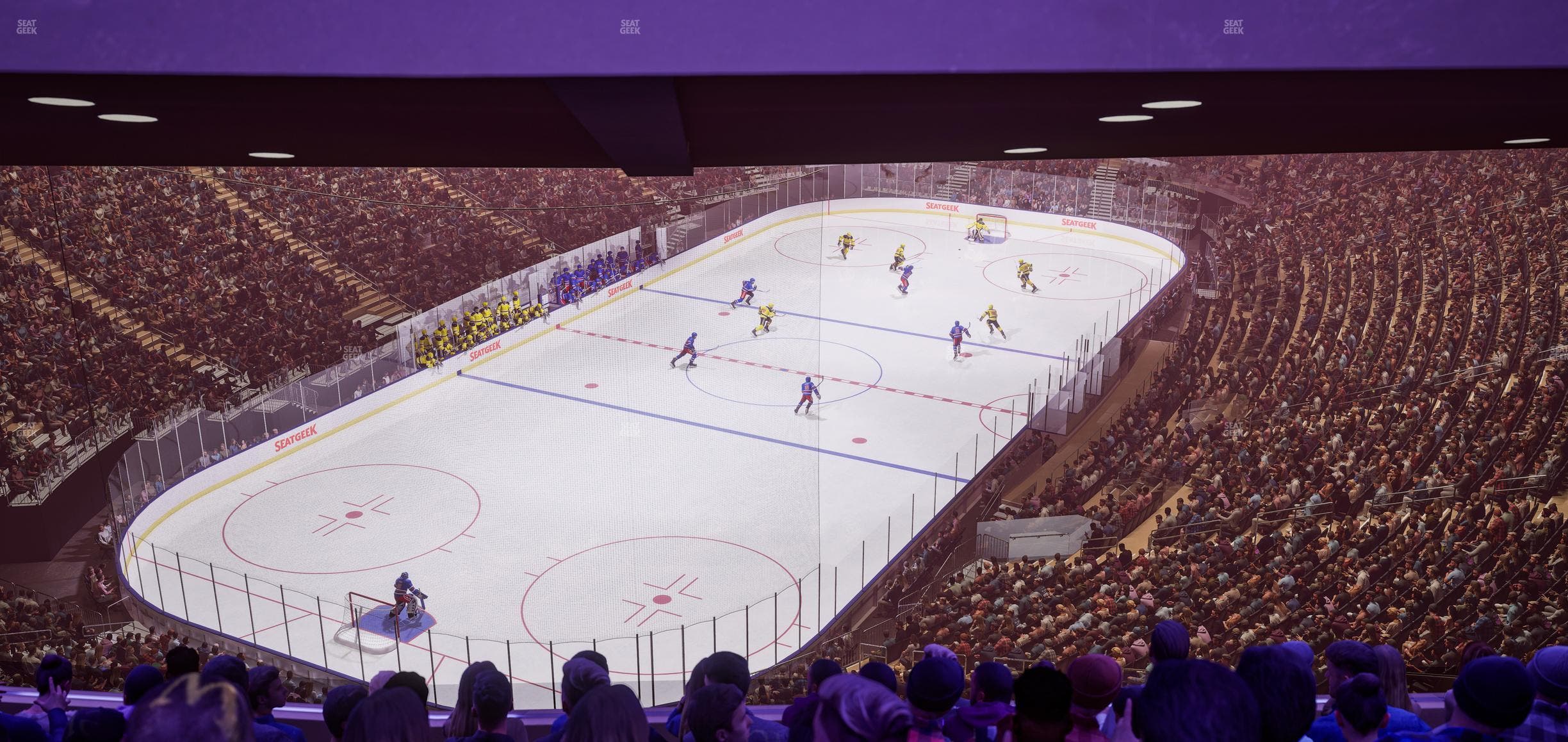 Madison Square Garden - Section 419 Seat View