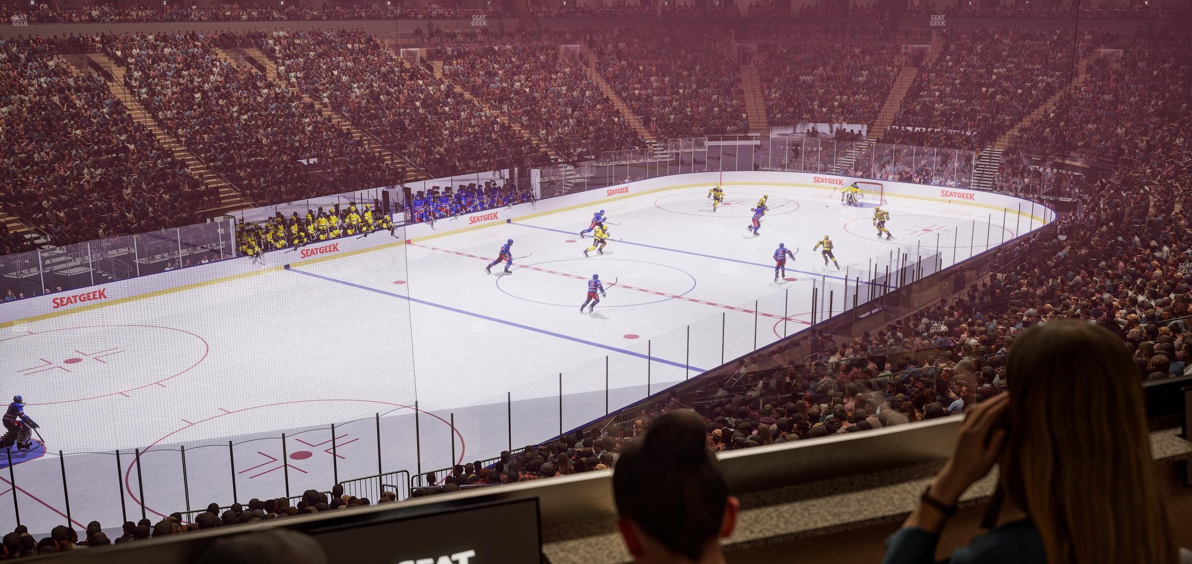 Madison Square Garden - Section Lexus Level Suite 4 Seat View