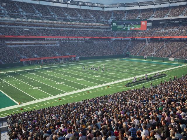 MetLife Stadium - Section Level 3 Suite 77 Seat View