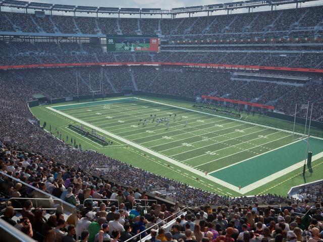 MetLife Stadium - Section Level 5 Suite 50 Seat View