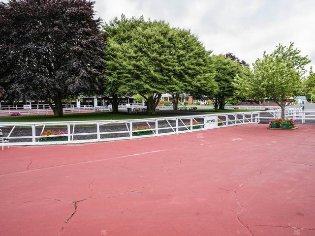 Monmouth Park - Section Ladys Secret Table 3 Seat View