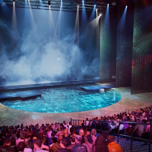 O Theatre at Bellagio Las Vegas - Section 202 Seat View