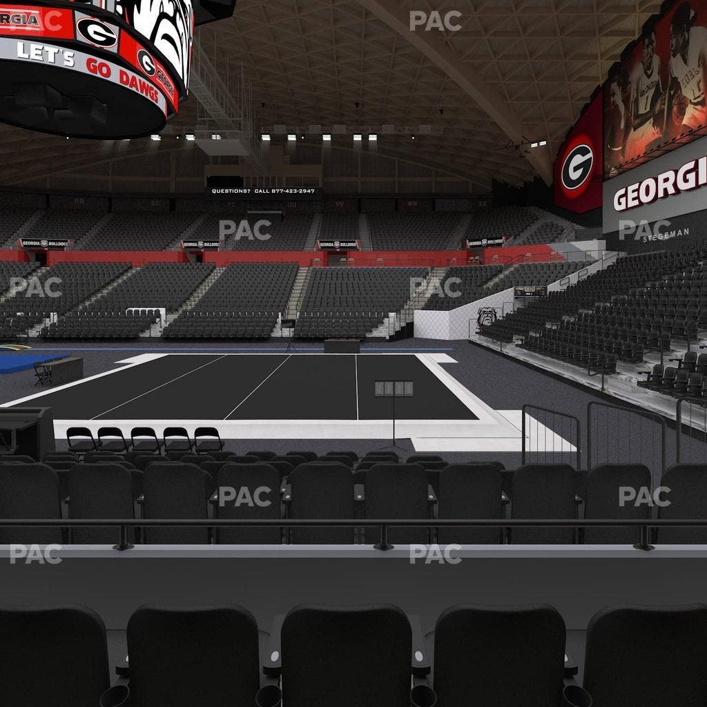 Stegeman Coliseum - Section D Seat View
