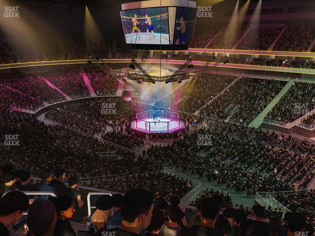 T-Mobile Arena - Section 209 Seat View