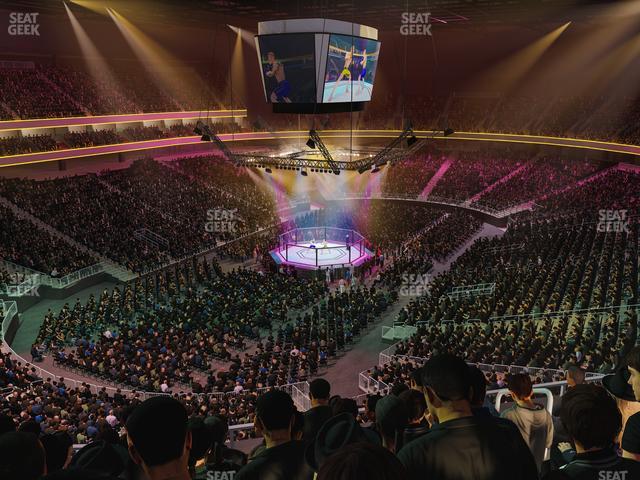 T-Mobile Arena - Section 217 Seat View