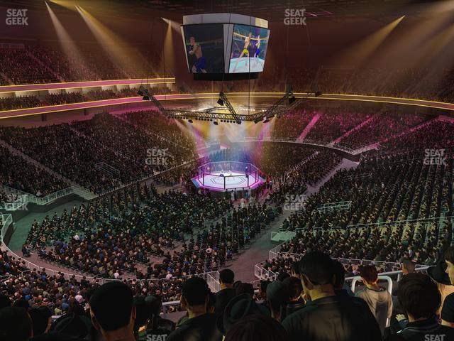 T-Mobile Arena - Section 217 Seat View