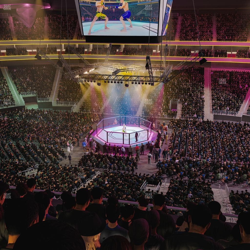 T-Mobile Arena - Section 224 Seat View