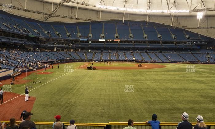 Tropicana Field - Section 142 Seat View