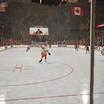 Preview of Van Andel Arena - Section 102 Seat View