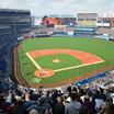 Preview of Yankee Stadium - Section 319 Seat View