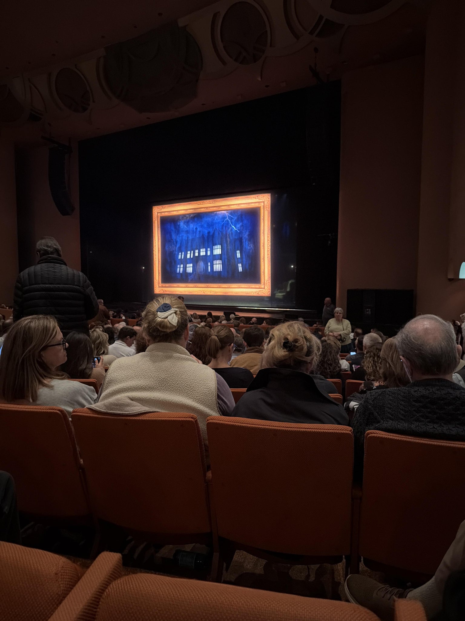 Real Fan View taken from Orchestra at ASU Gammage Auditorium by Anonymous User