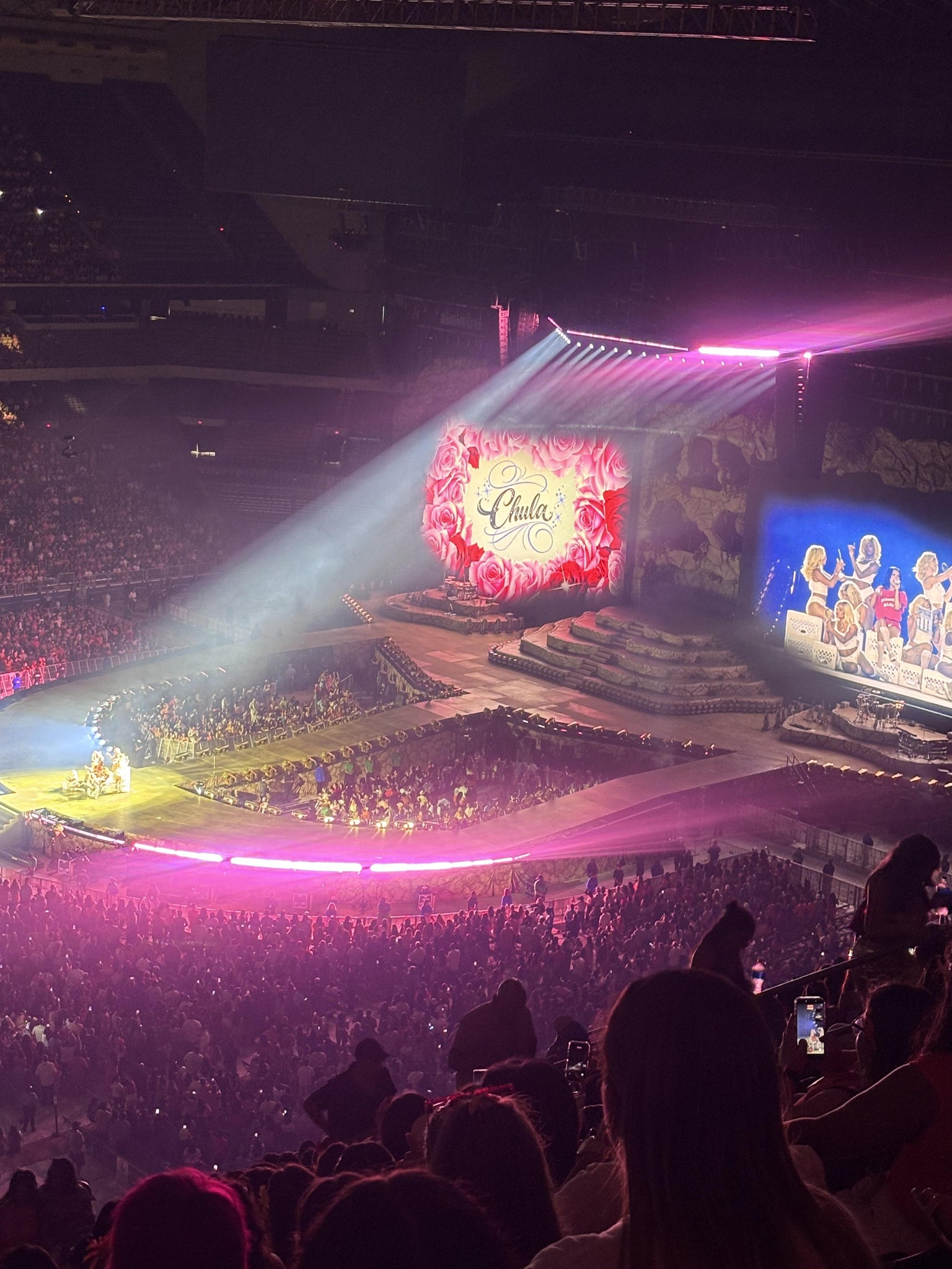 Real Fan View taken from Section 339 at Alamodome by Denise C