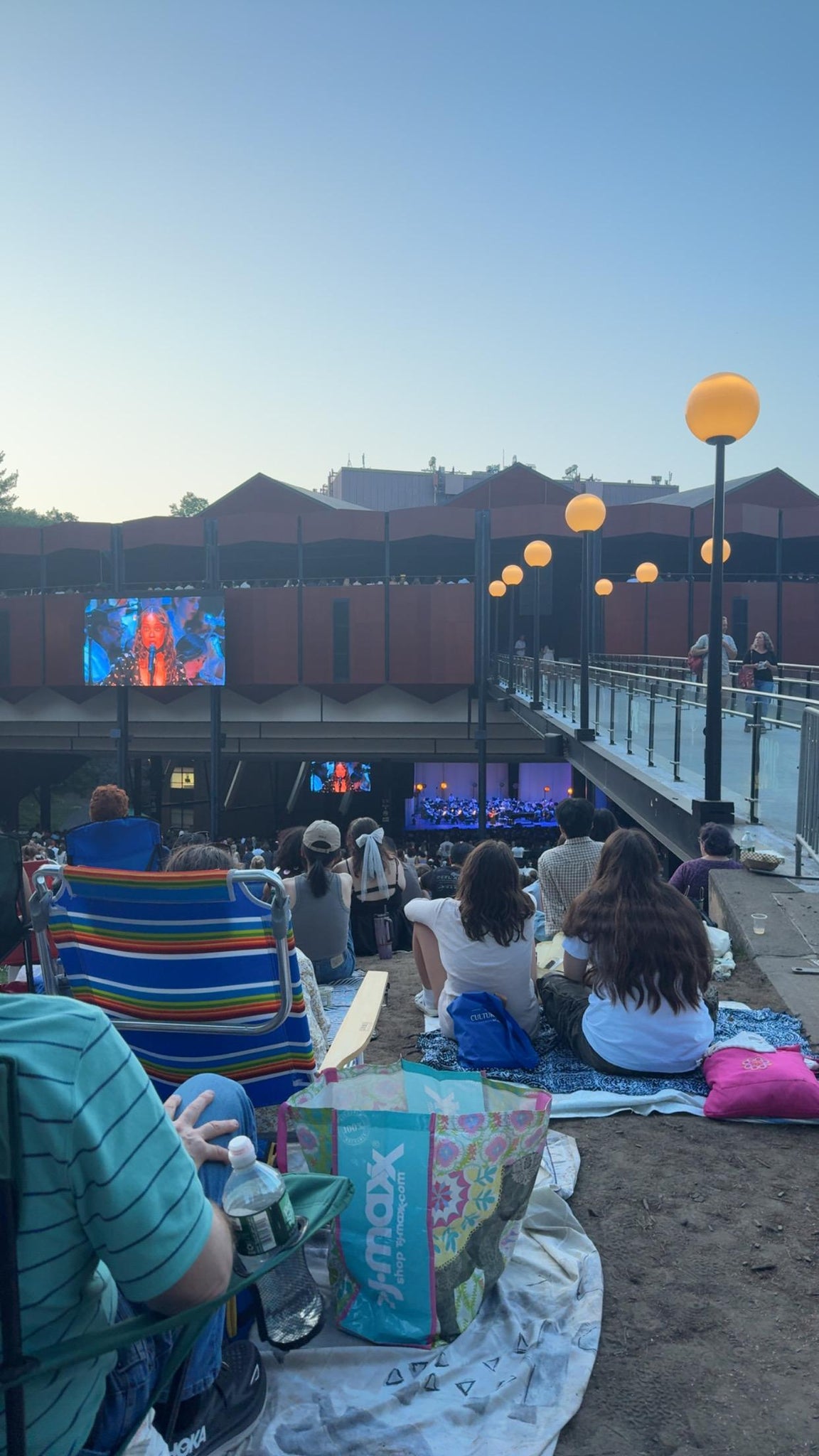 Real Fan View taken from GA Lawn at Albany Med Health System at SPAC by Curtis G