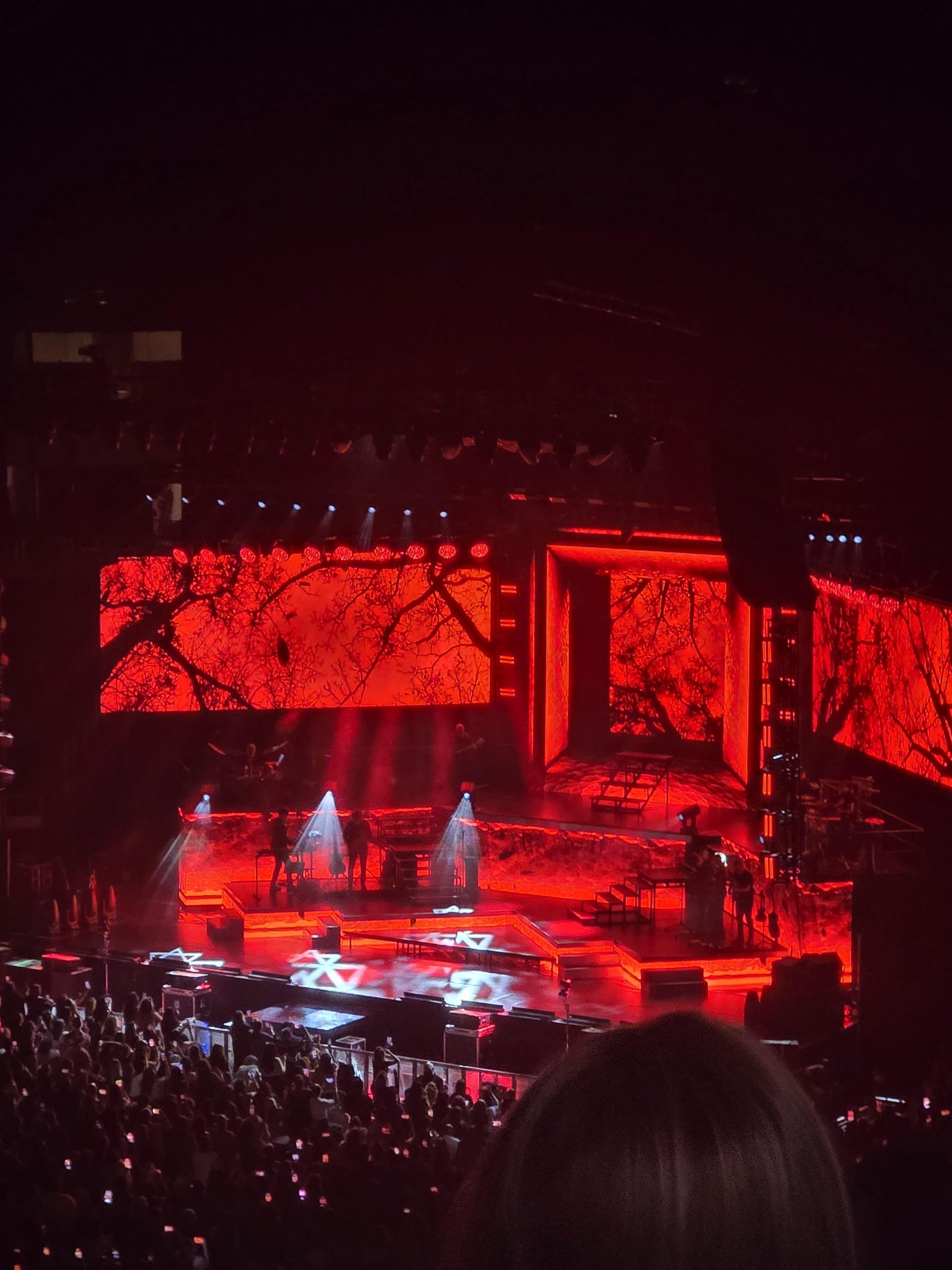 Real Fan View taken from Section 210 at Ariat Arena (formerly Dickies Arena) by Sandra M