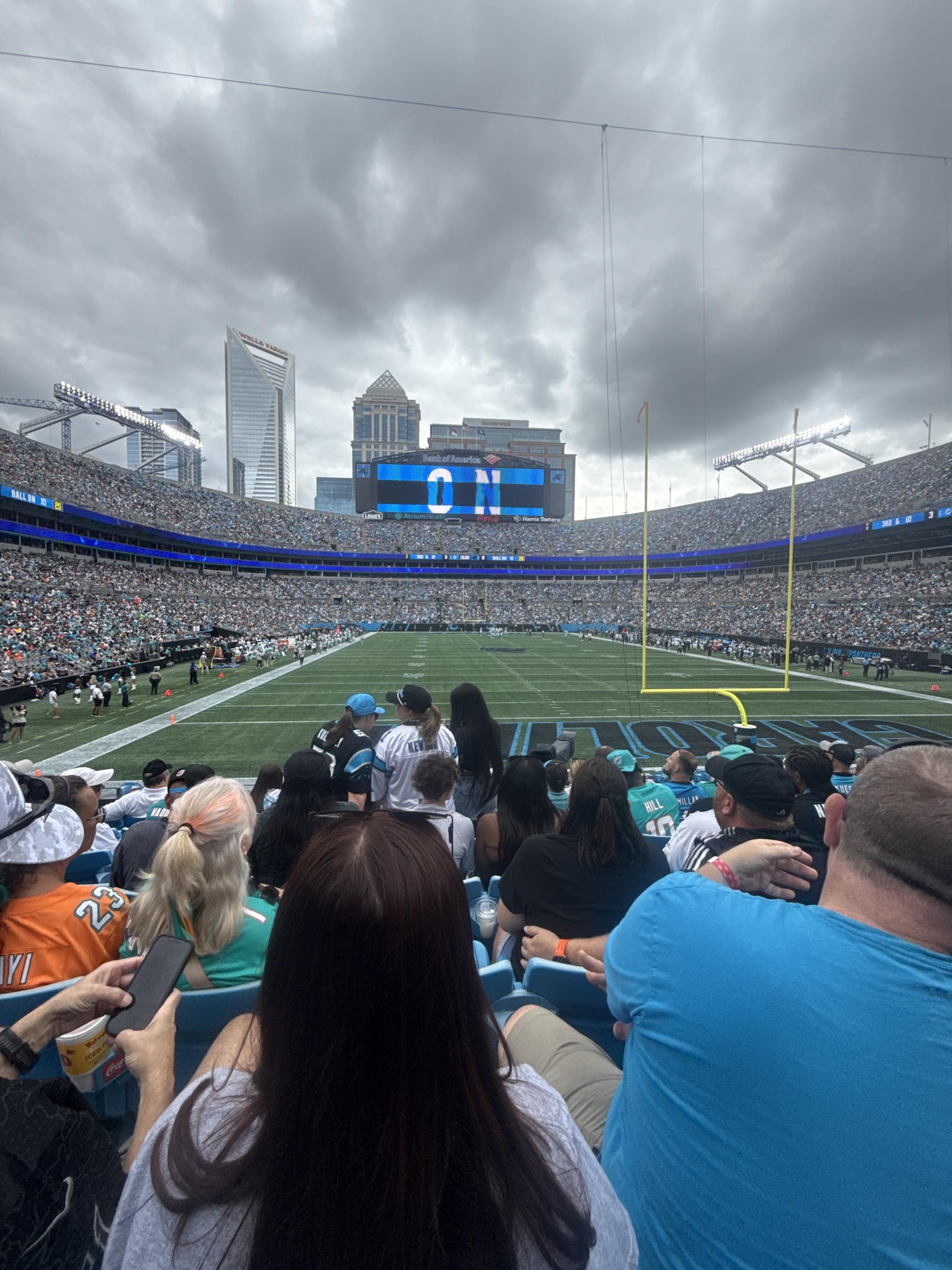 Real Fan View taken from Section 102 at Bank of America Stadium by Mary T