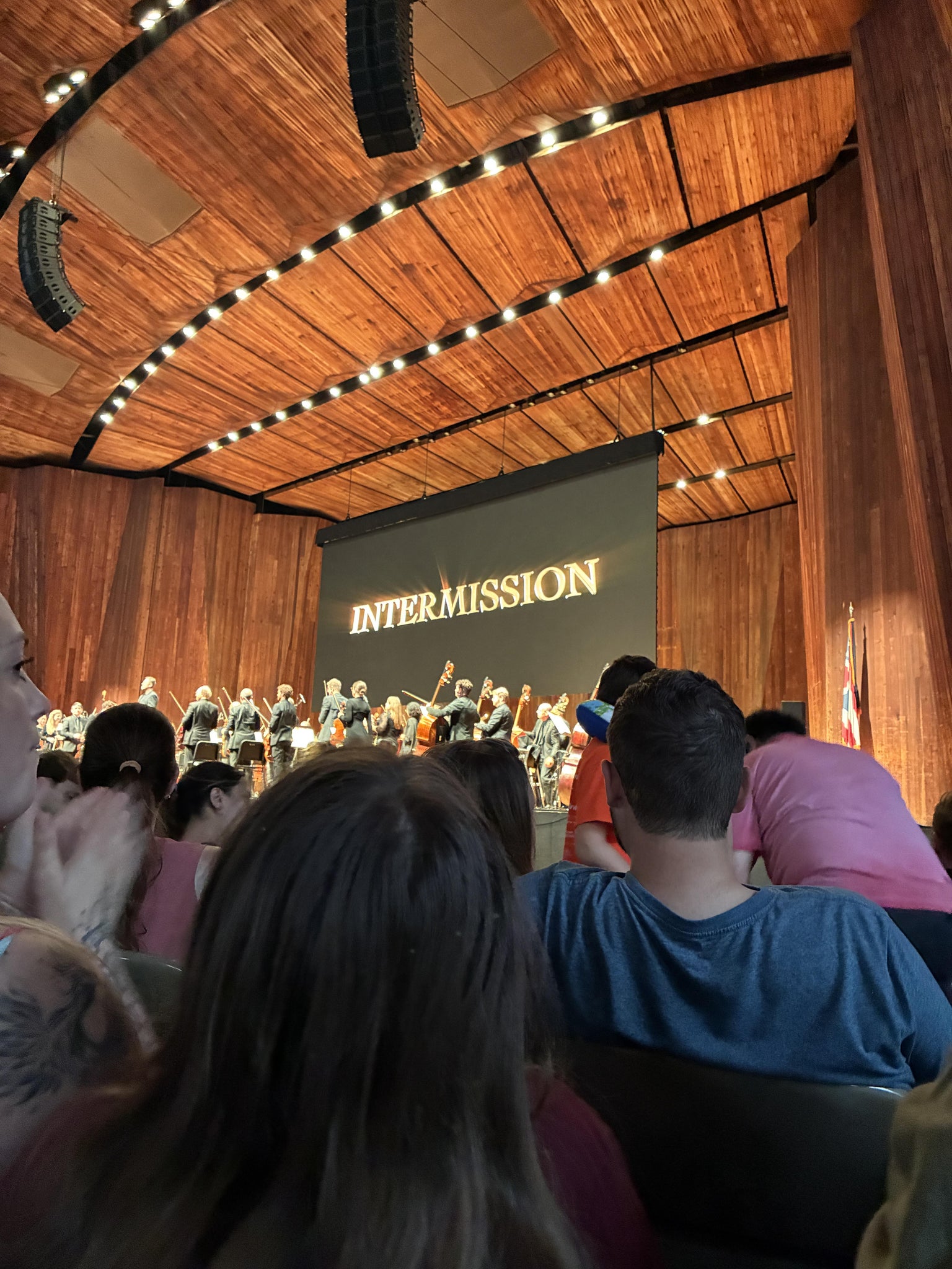 Real Fan View taken from Pavilion 12 at Blossom Music Center by Corn B