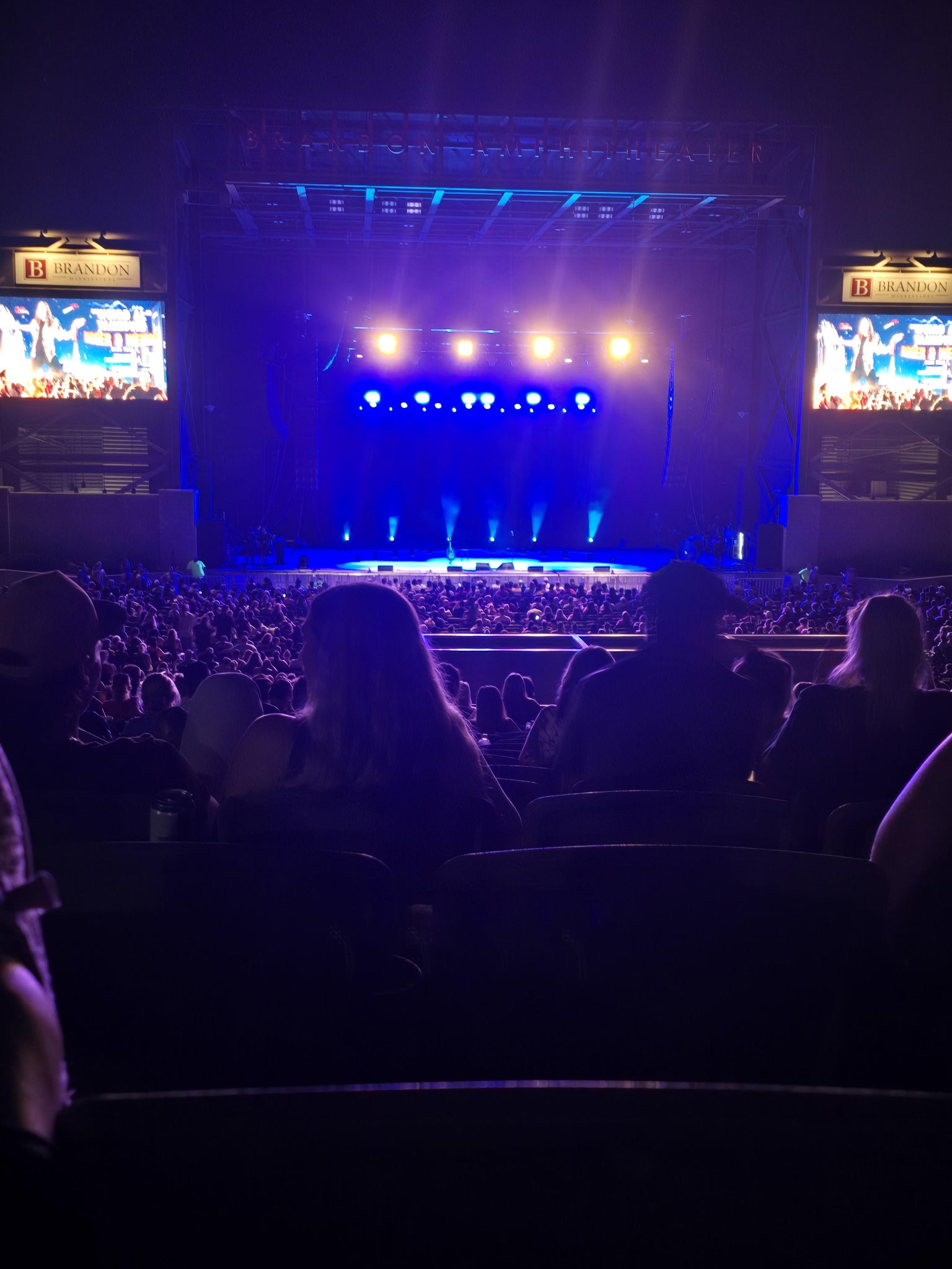 Vue réelle des fans prise de la Section 203 au site Brandon Amphitheater par Lisa J