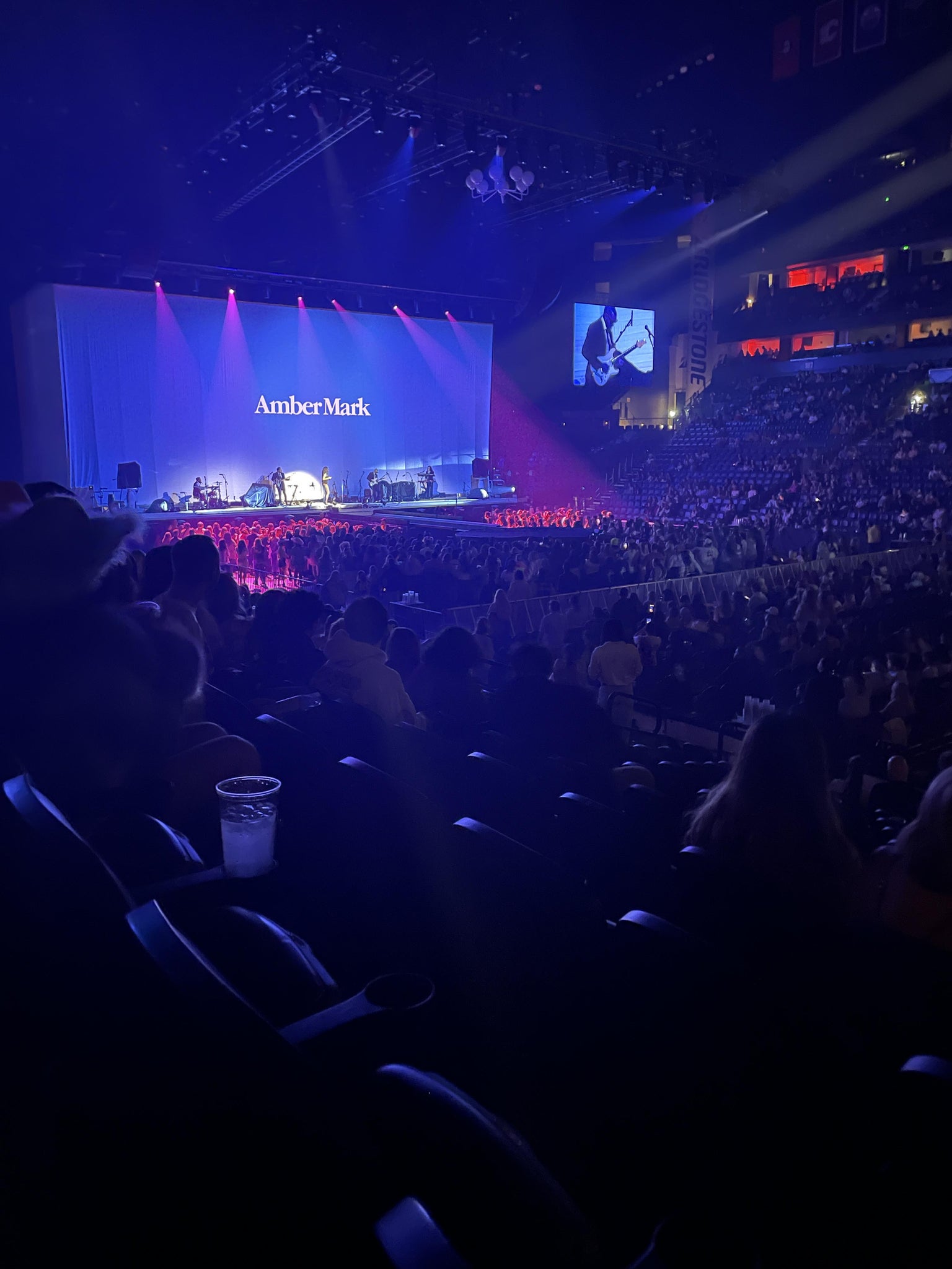Vue réelle des fans prise de la Section 117 au site Bridgestone Arena par Kelly G