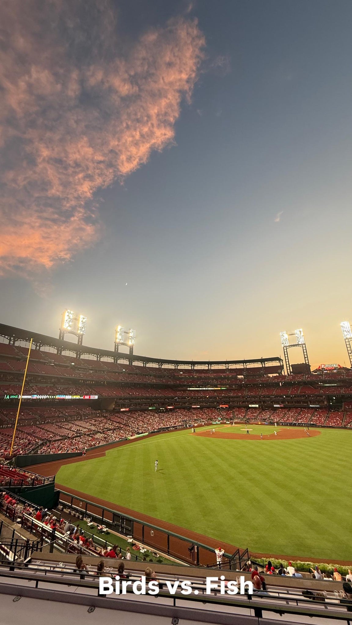 Real Fan View taken from Coca Cola Patio at Busch Stadium by Maria B