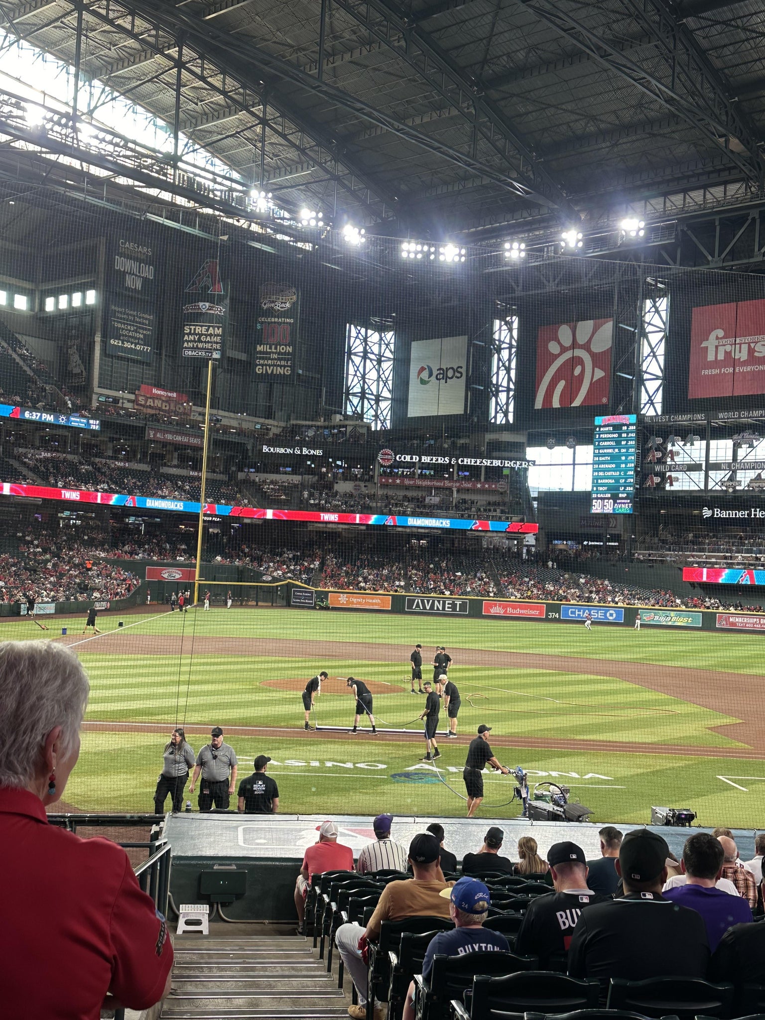 Real Fan View taken from Section 117 at Chase Field by Carrie H
