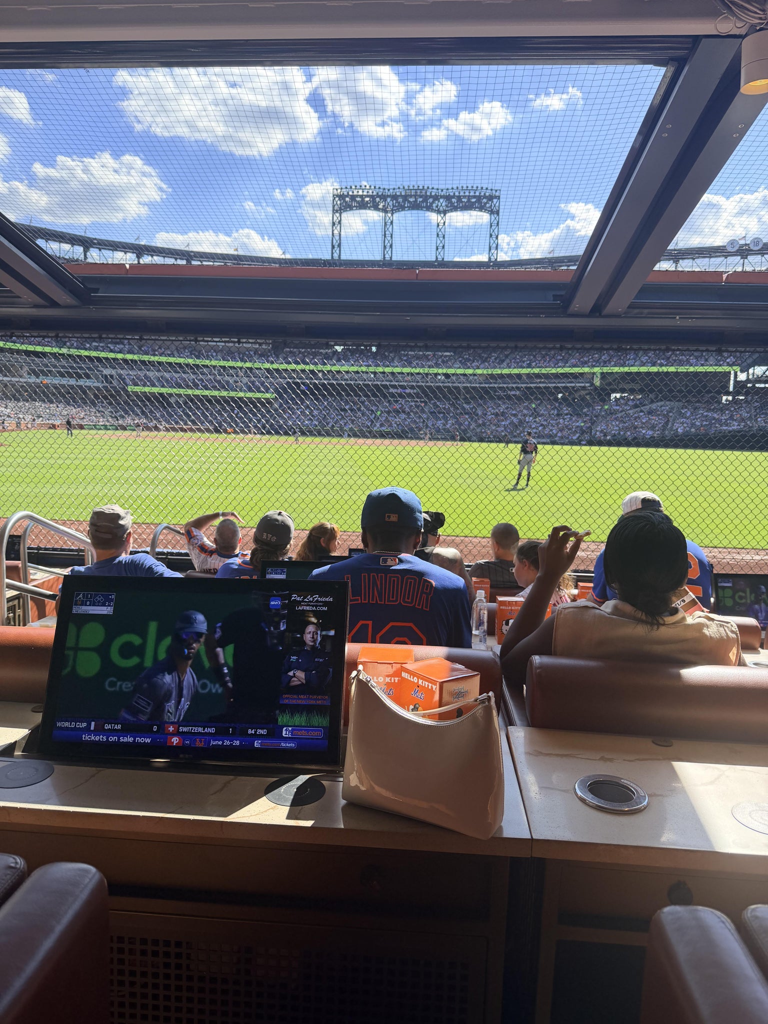 Real Fan View taken from The Cadillac Club AT Paysons at Citi Field by Bryan A