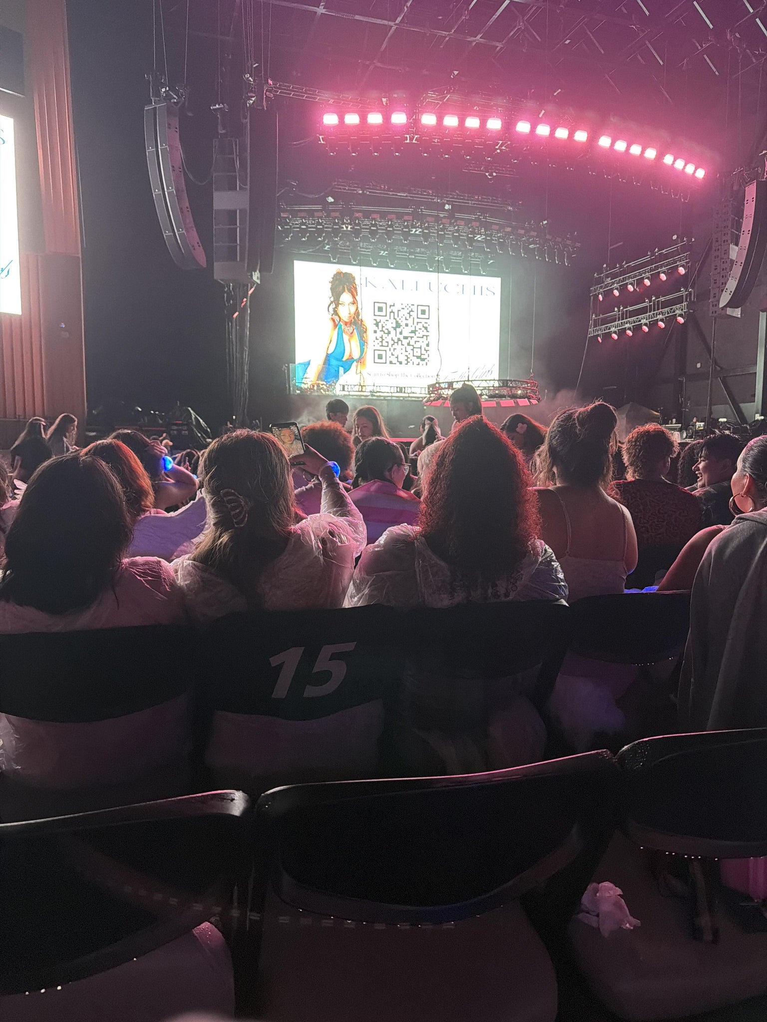 Real Fan View taken from Section 5 at Coca-Cola Amphitheater by Jaidyn A
