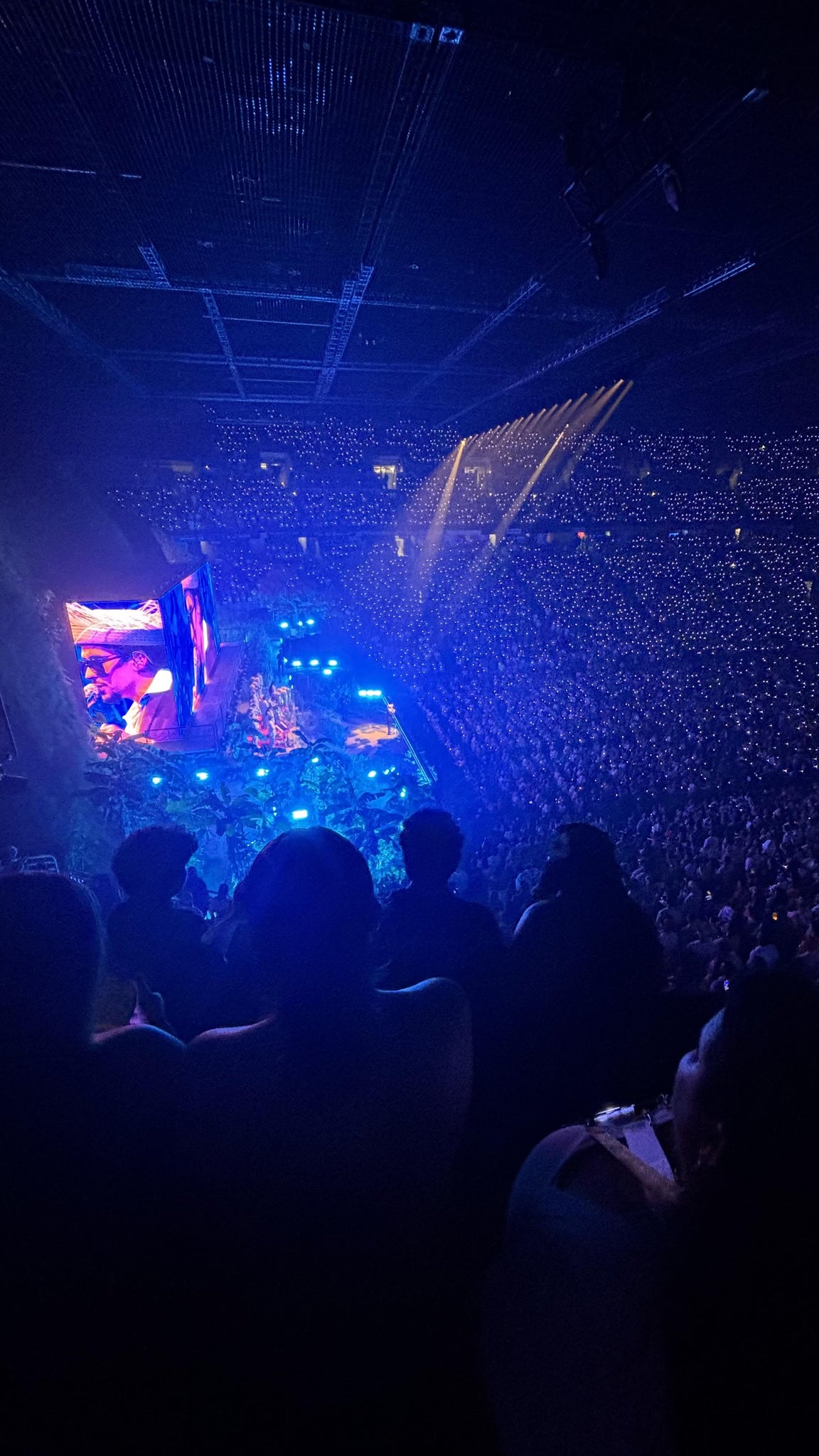 Vue réelle des fans prise de la Section 212 L au site Coliseo de Puerto Rico par Yannis M