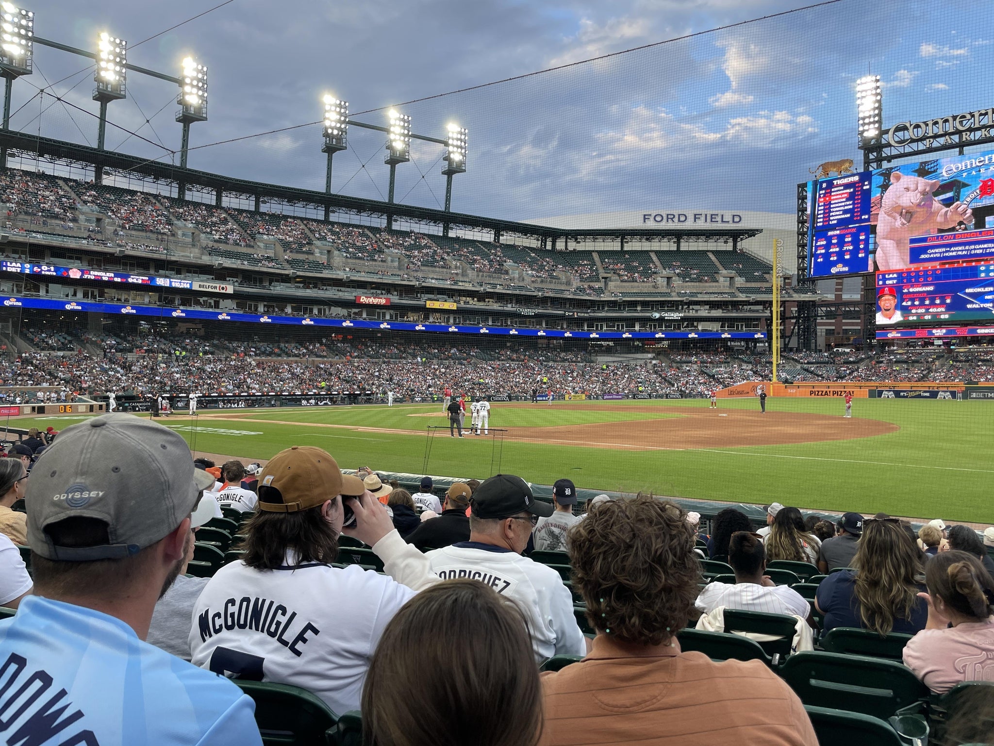 Real Fan View taken from Section 118 at Comerica Park by Elizabeth F
