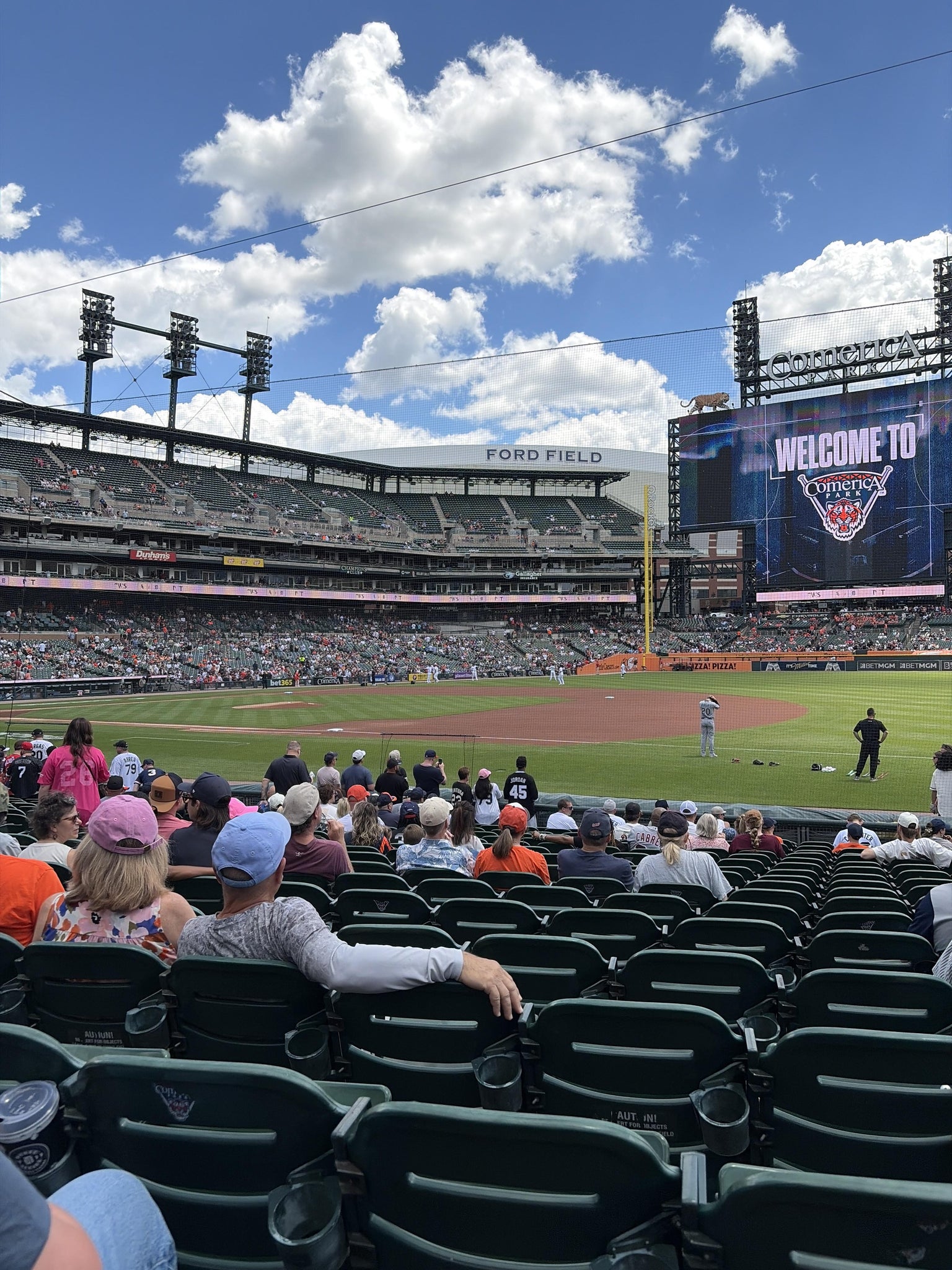 Real Fan View taken from Section 118 at Comerica Park by Dennis H
