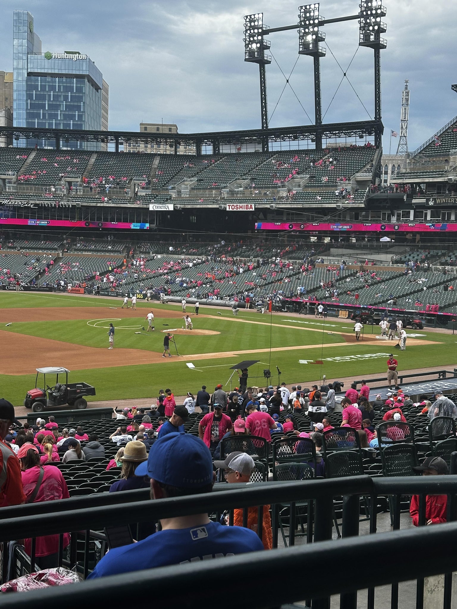 Real Fan View taken from Terrace 138 at Comerica Park by Barbara R