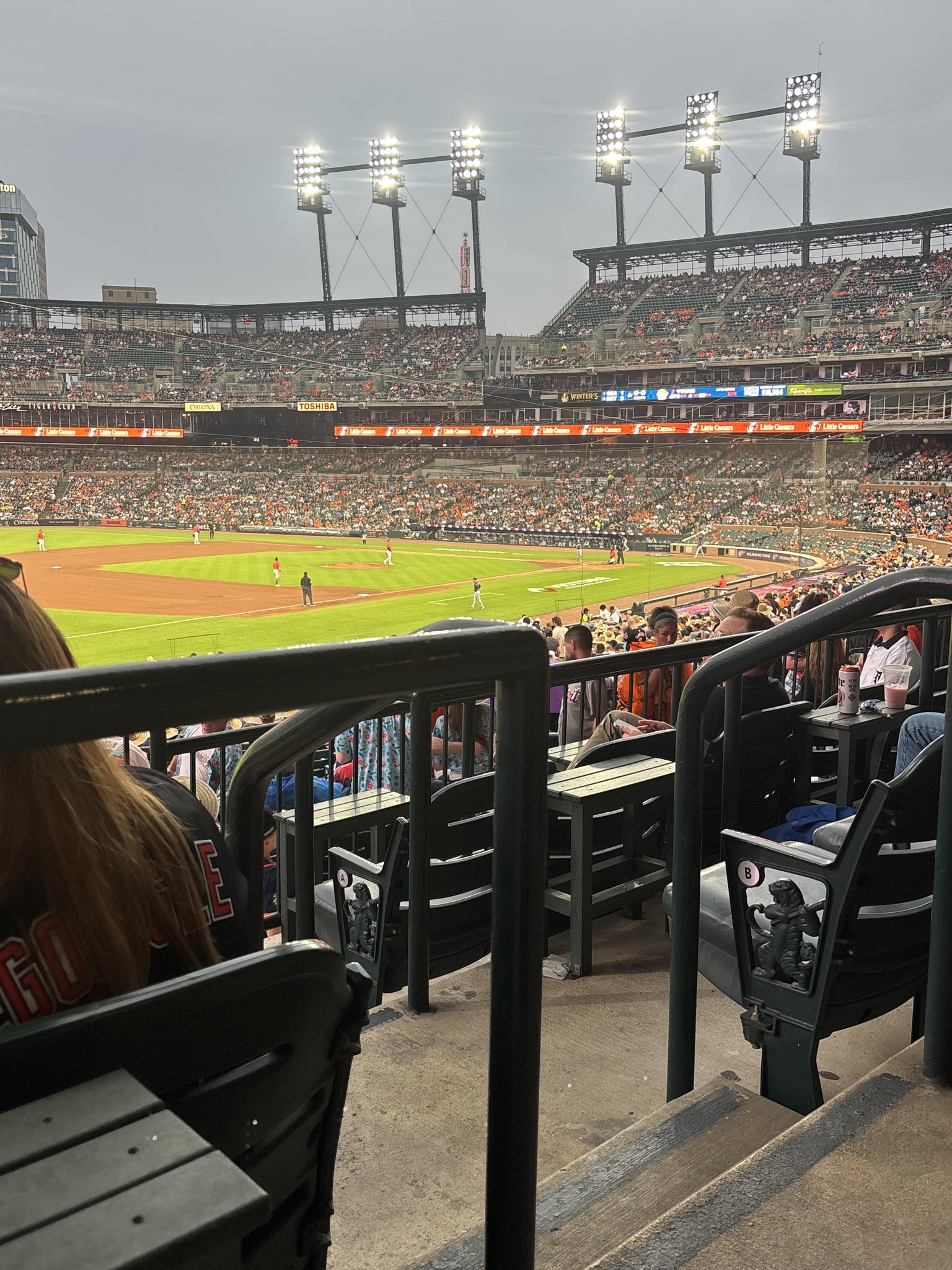 Real Fan View taken from Terrace 139 A at Comerica Park by Amanda M