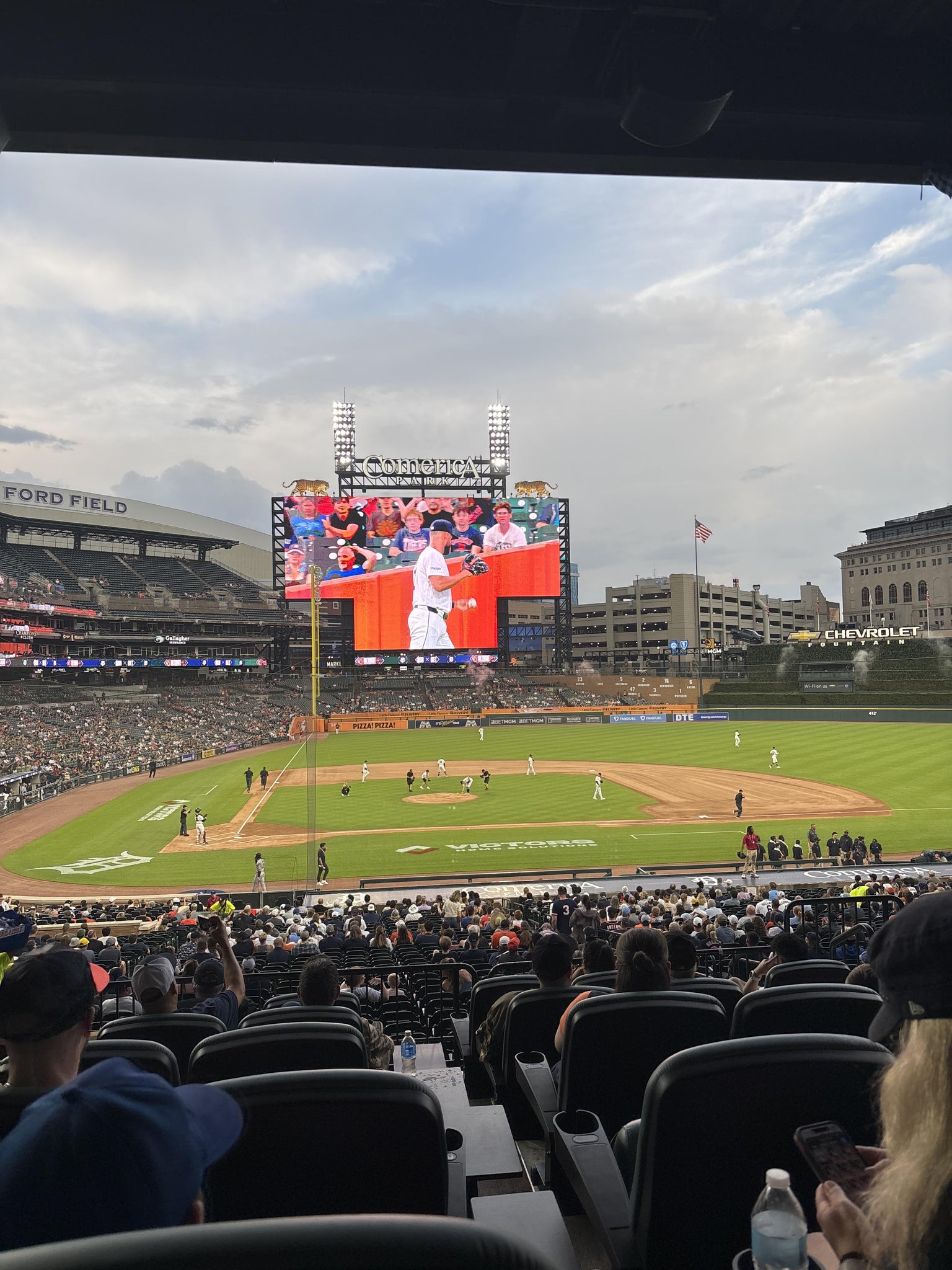 Real Fan View taken from Tiger DEN 123 at Comerica Park by Terri P