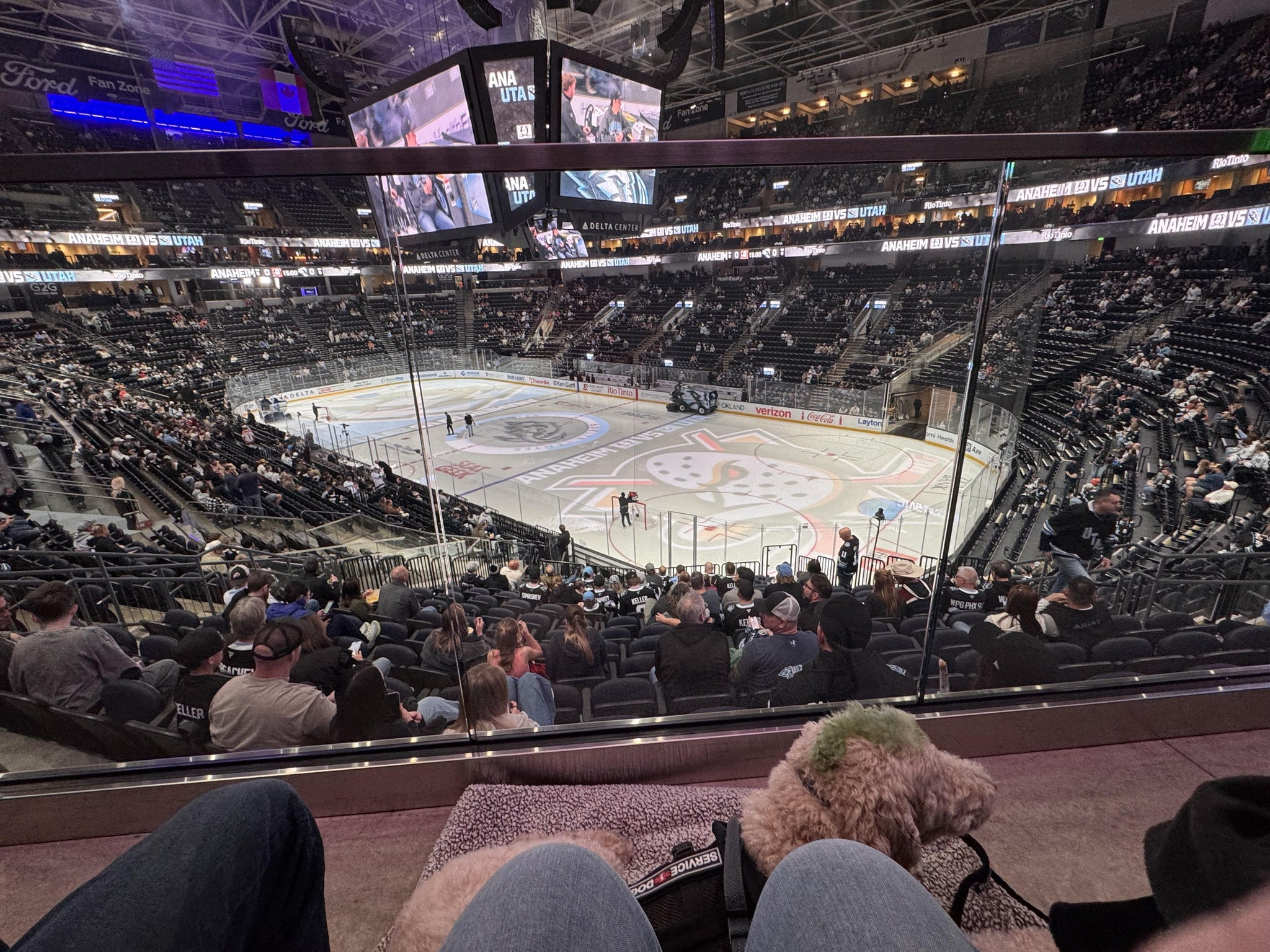 Real Fan View taken from Section 15 at Delta Center by Erin P