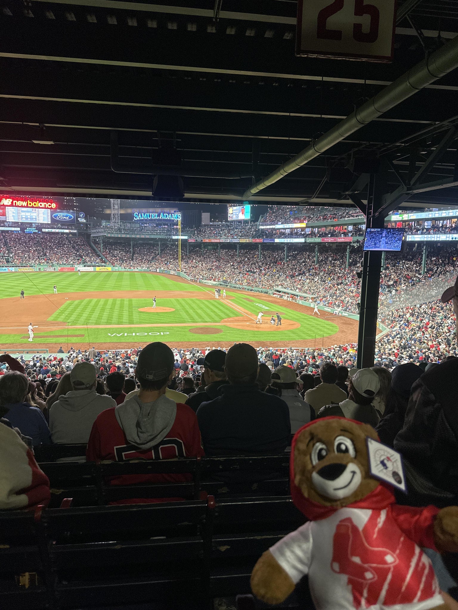 Real Fan View taken from Grandstand 25 at Fenway Park by Felicia B