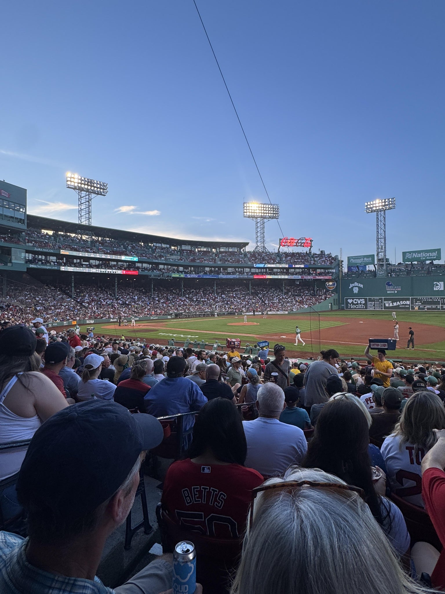 Real Fan View taken from Loge Box 106 at Fenway Park by Chelsea E