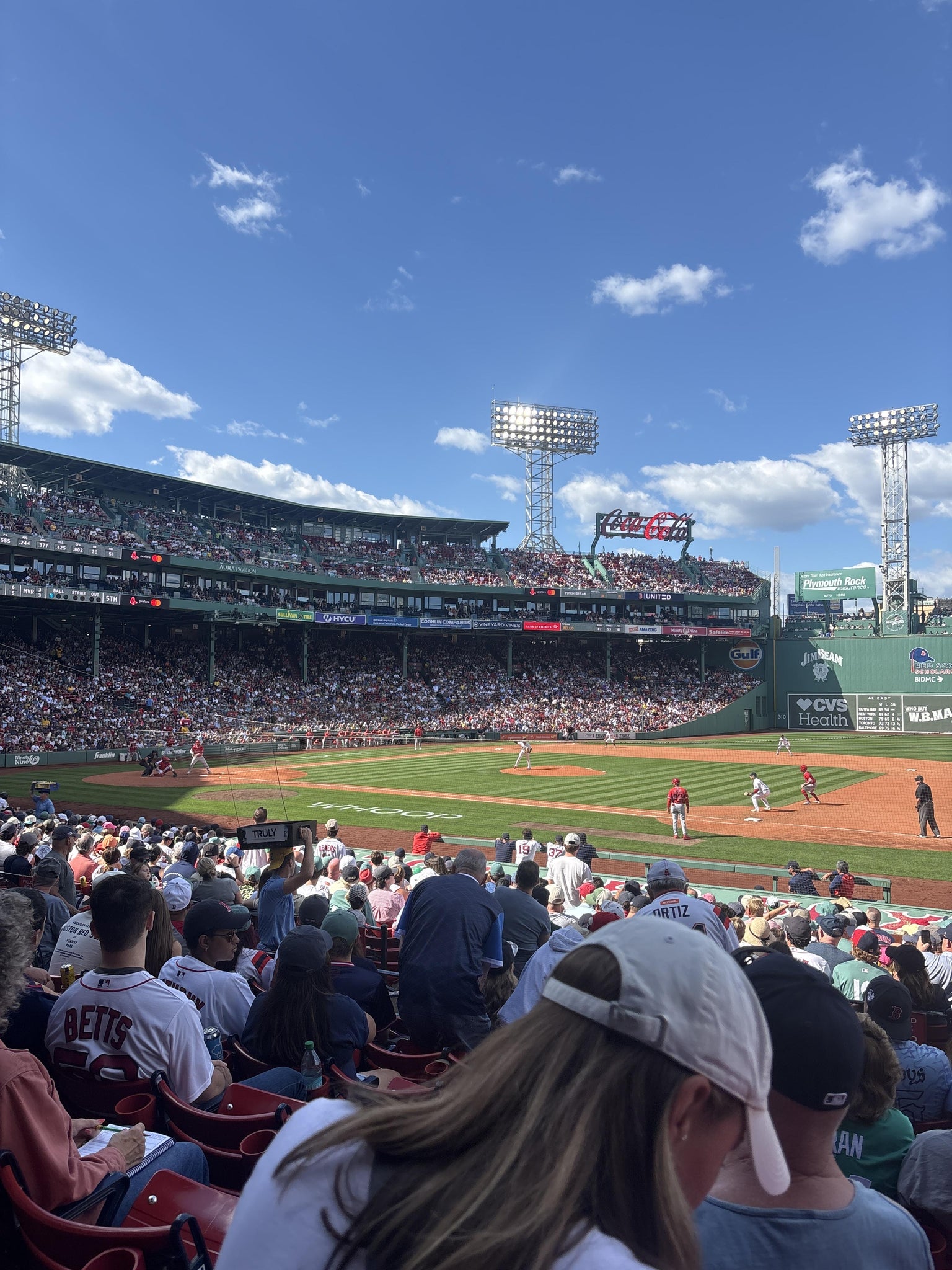 Real Fan View taken from Loge Box 109 at Fenway Park by Erica M