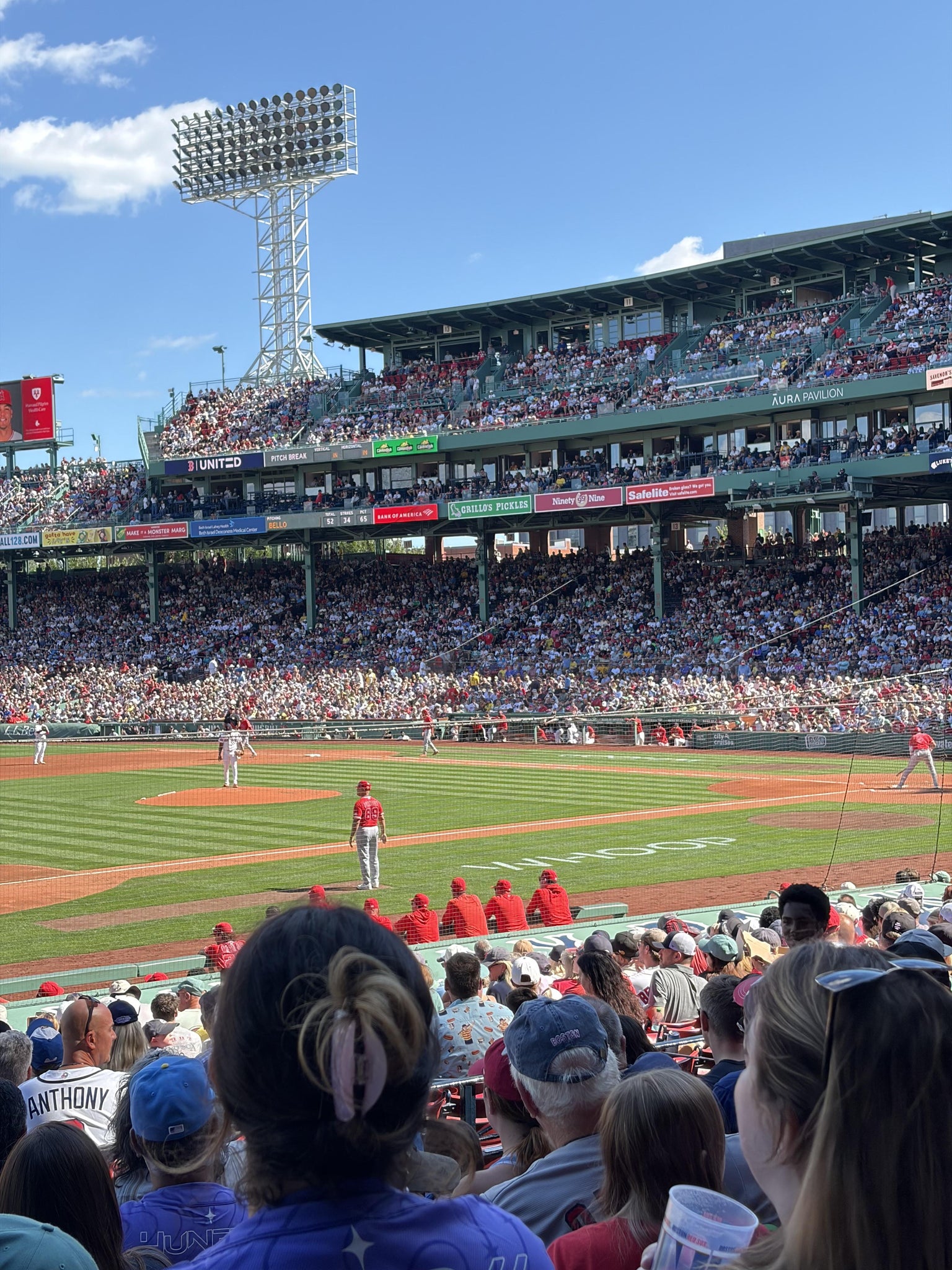 Real Fan View taken from Loge Box 154 at Fenway Park by Kellie P