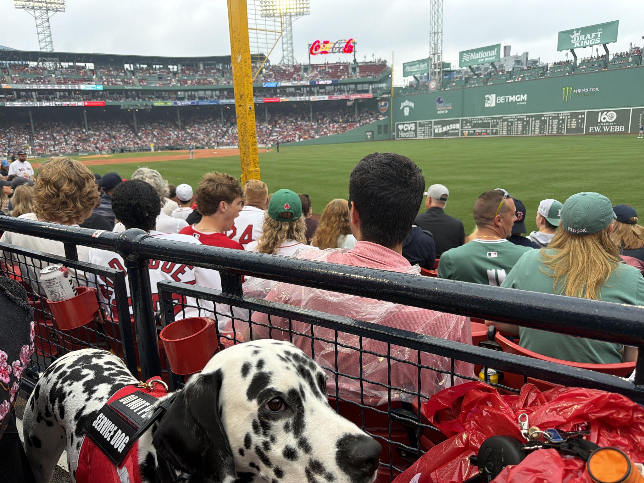 Real Fan View taken from Right Field Box 5 at Fenway Park by Jose L