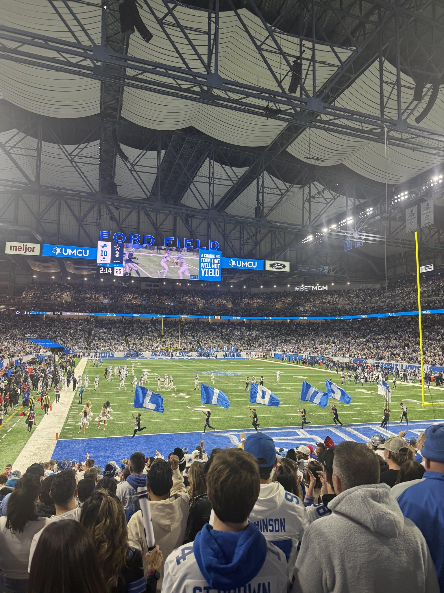 Real Fan View taken from Section 115 at Ford Field by Laura D