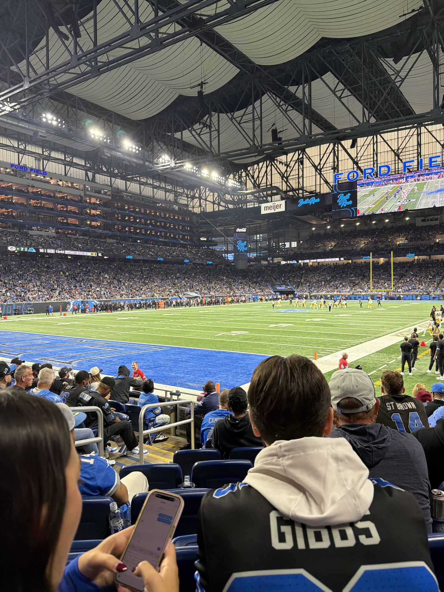 Real Fan View taken from Section 120 at Ford Field by Javiera W