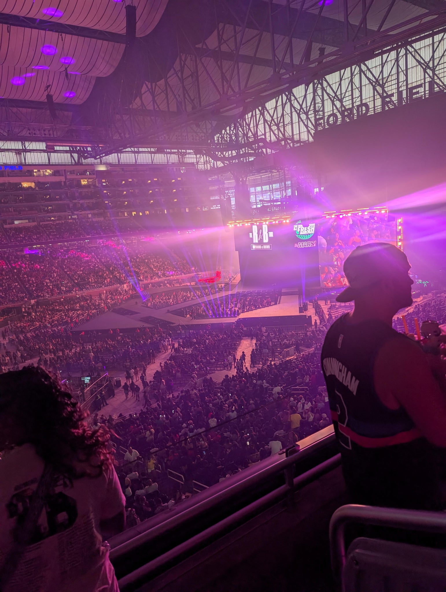 Real Fan View taken from Club 228 at Ford Field by Karen d S