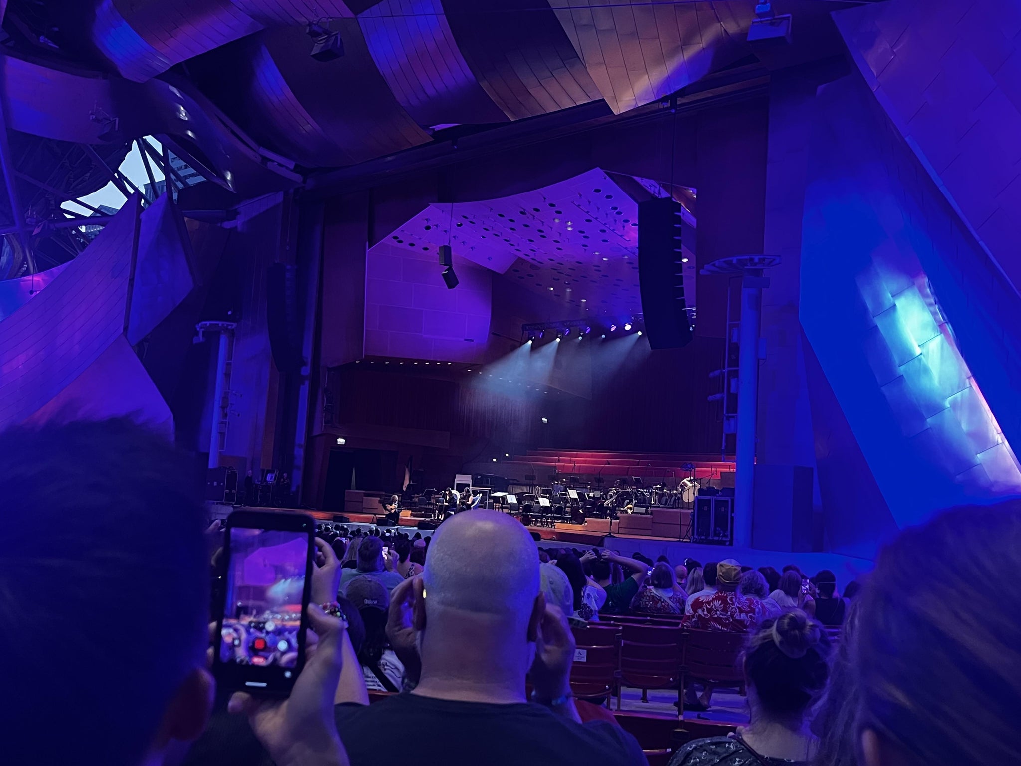 Vue réelle des fans prise de la Section 206 au site Jay Pritzker Pavilion par Beka W