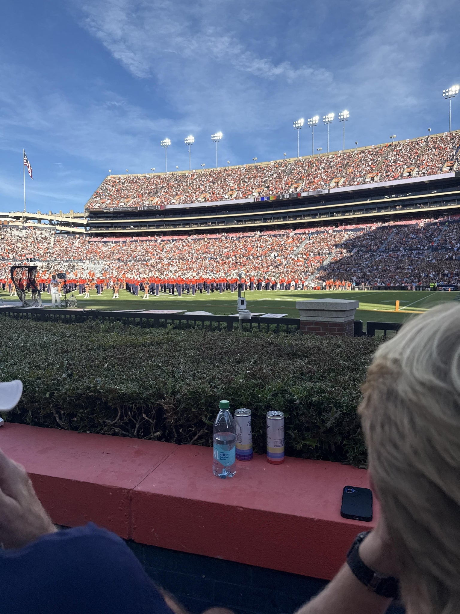 Real Fan View taken from Section 11 at Jordan-Hare Stadium by Sarah E